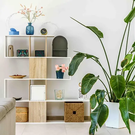 Fabulosa Foresta En Familias Con Piscina Privada