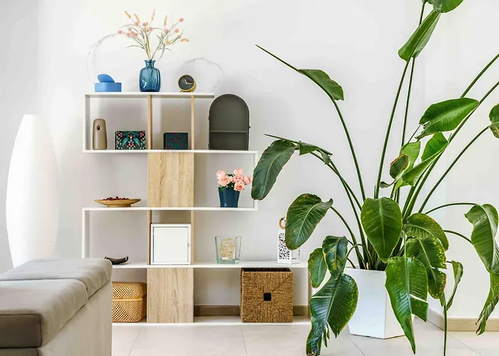 Fabulosa Foresta En Familias Con Piscina Privada